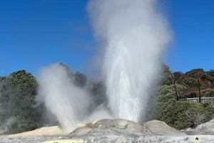Auckland: Hobbiton Movie Set & Te Puia – tur i liten grupp