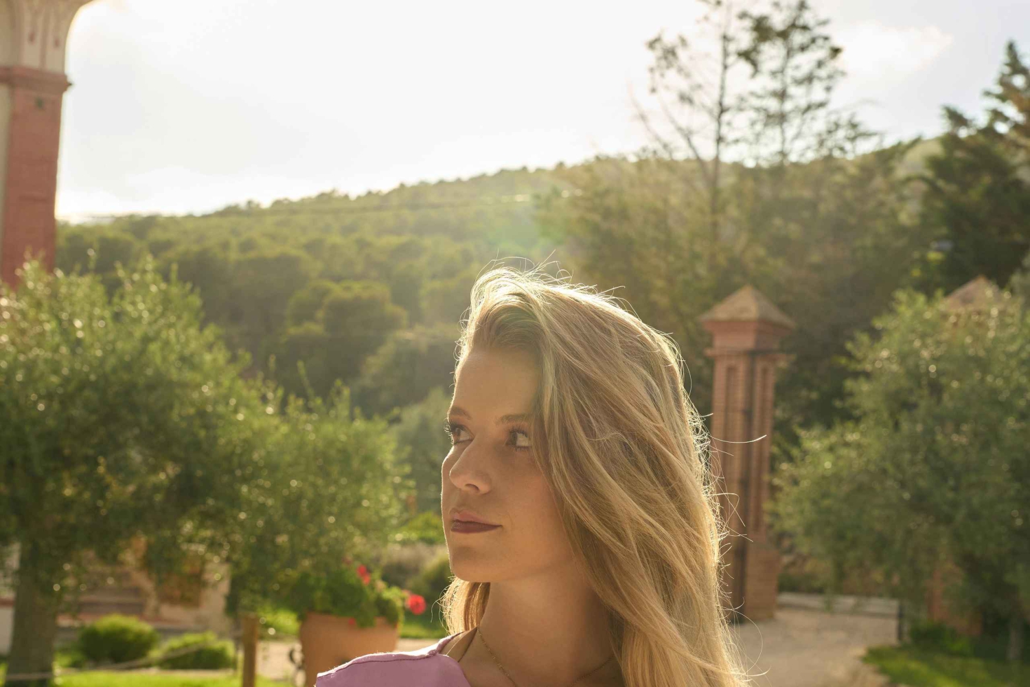 Auckland: privépaardrijtocht + lunch + wijn + ophalen