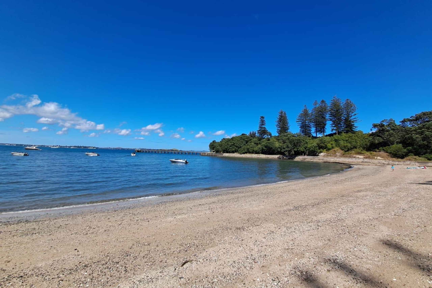 Auckland: bilet na prom na wyspę Motuihe