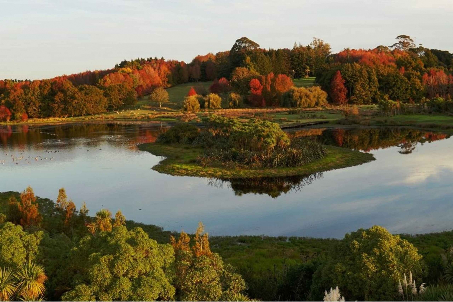 Auckland Natuur Tour