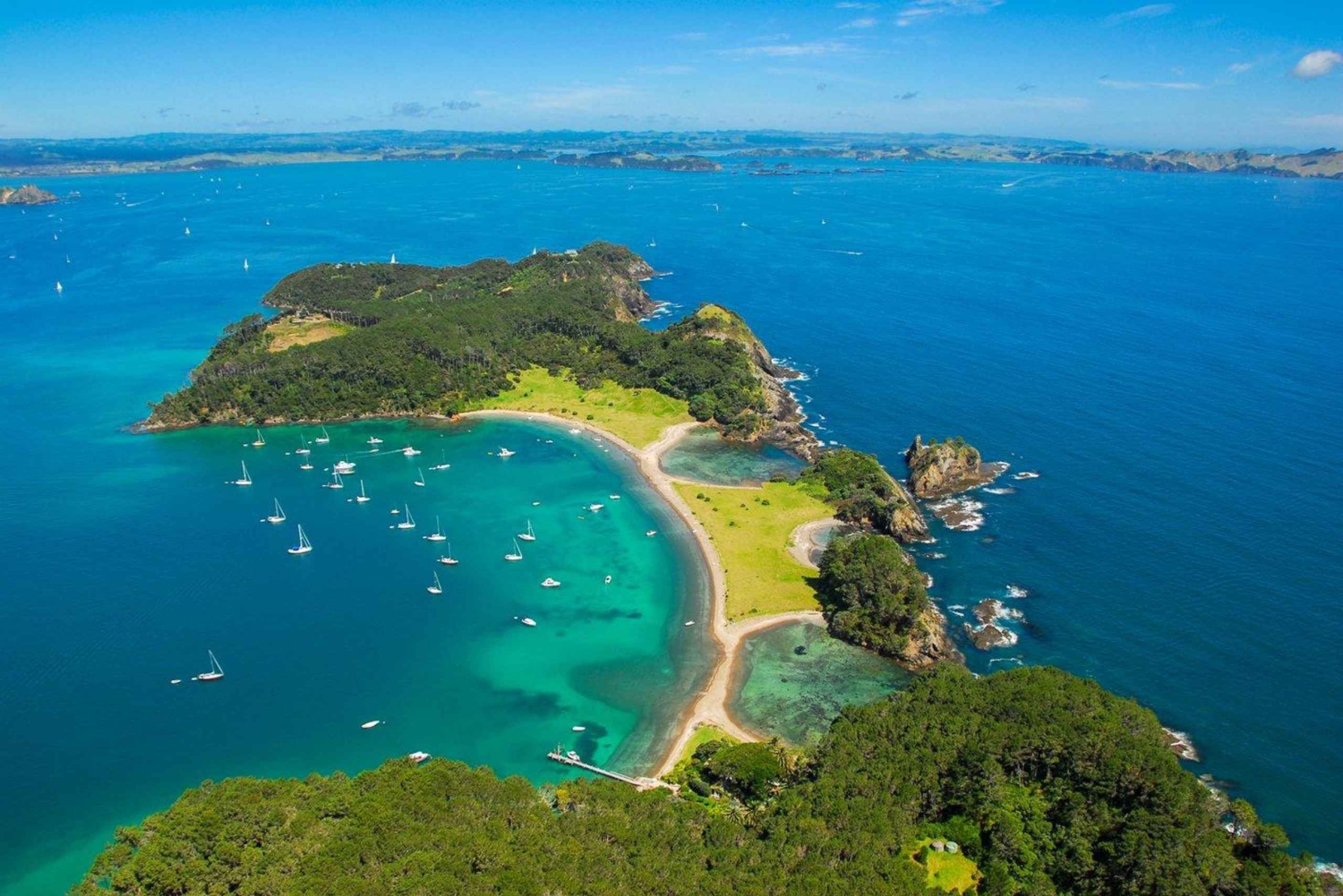 Auckland to Paihia via West Coast Small Group Tour (One Way)