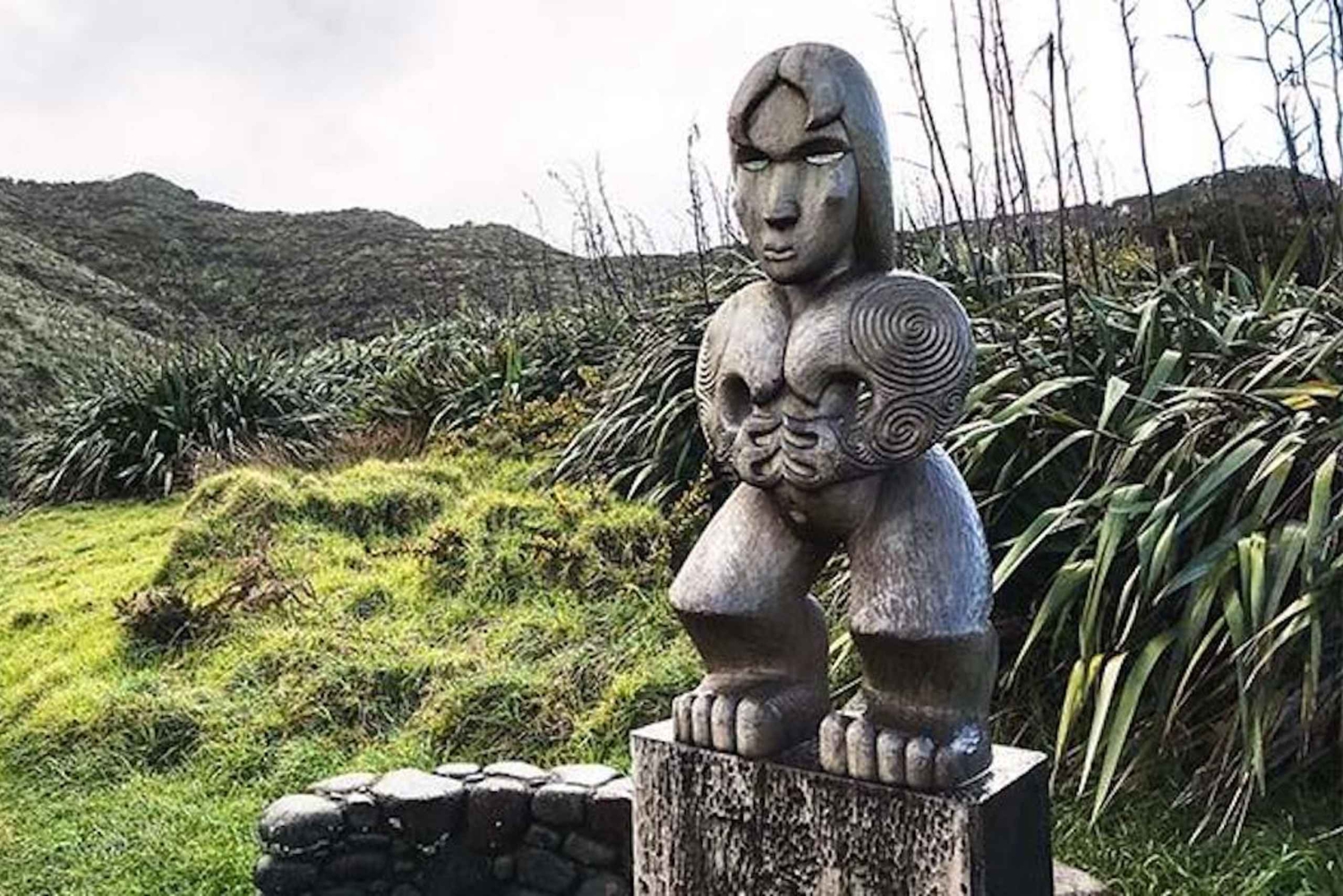 Auckland: Piha Beach, regenwoud en Mount Eden privétour