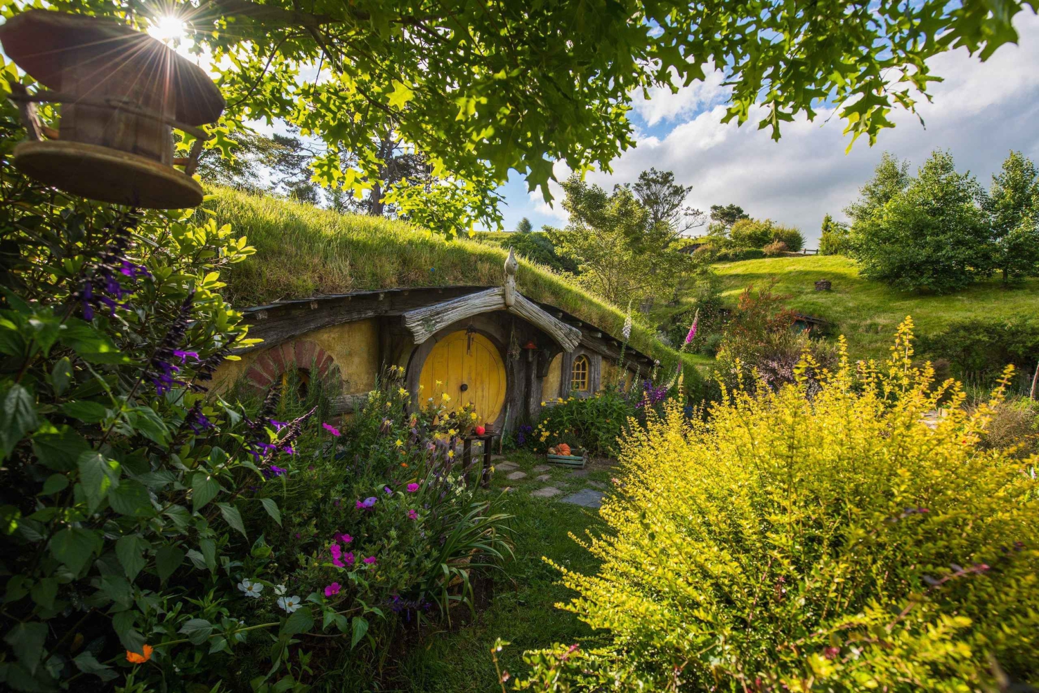 Auckland: Privétour naar de filmset van Hobbiton en de Waitomo Caves