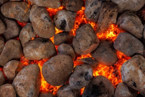 オークランド発：ミタイ・マオリ村とワイ・オ・タプを訪れるロトルアツアーをご案内します