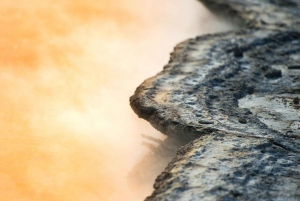 オークランド発：ミタイ・マオリ村とワイ・オ・タプを訪れるロトルアツアーをご案内します