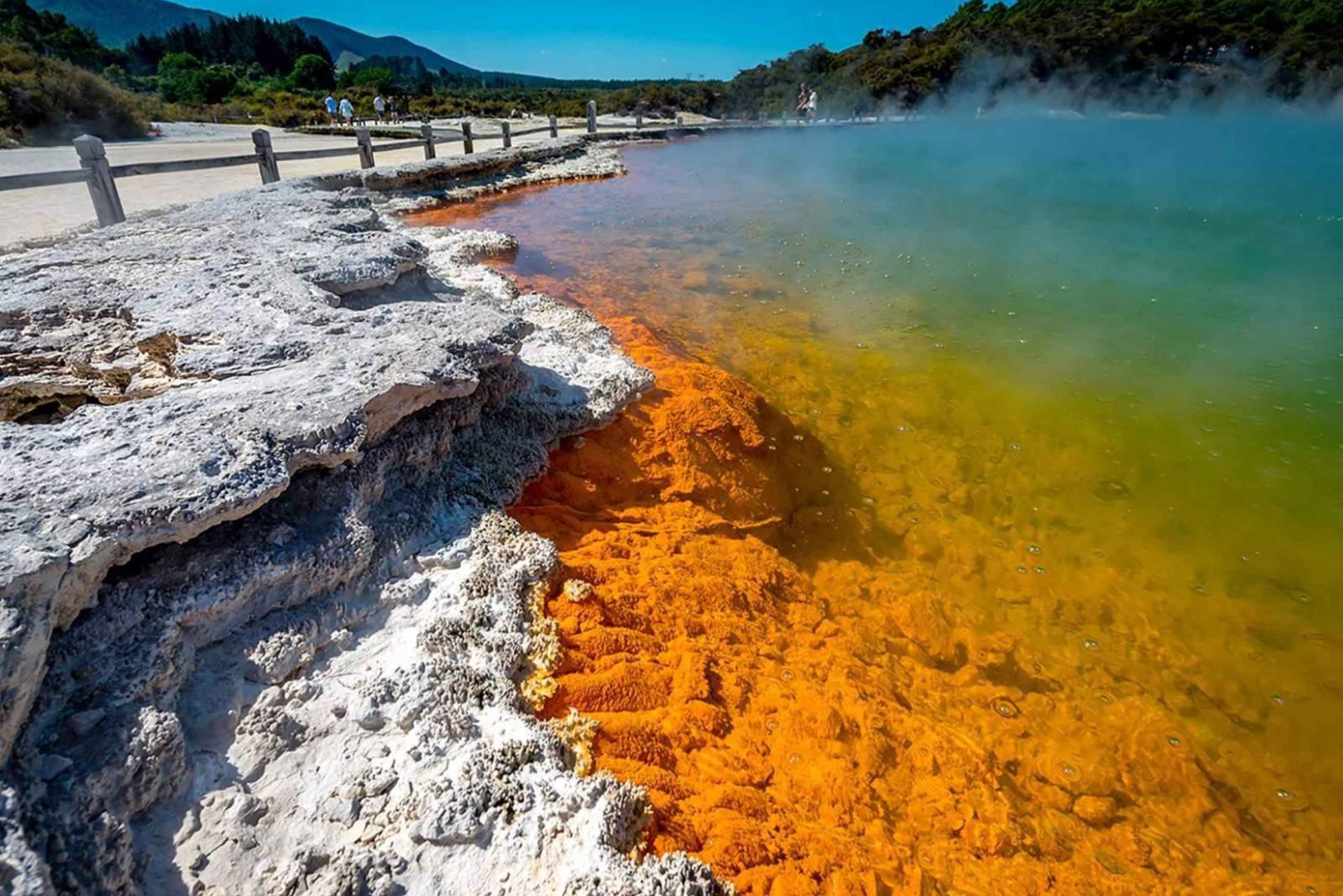 Auckland: Rotorua Wai-O-Tapu, Te Puia met Haka