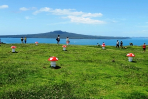 Auckland: Segwaytour naar Mount Victoria