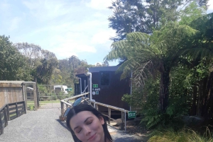 Окленд: Sheepworld, Медовый центр и Каури-Трейл