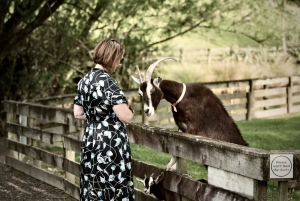 Окленд: Sheepworld, Медовый центр и Каури-Трейл