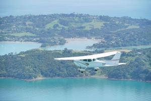 Auckland: Waiheke Island Degustacja wina i jedzenia z lotami