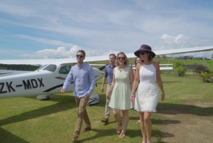 Auckland: Waiheke Island Degustacja wina i jedzenia z lotami