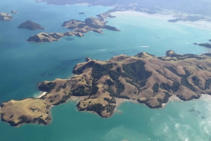 Auckland: Waiheke Island Degustacja wina i jedzenia z lotami