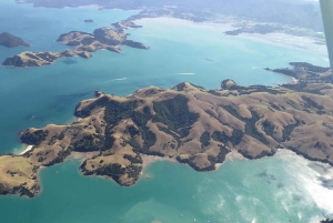 Auckland: Waiheke Island Degustacja wina i jedzenia z lotami