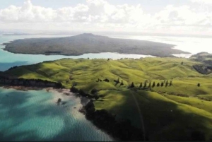 Auckland: Waiheke Island Degustacja wina i jedzenia z lotami