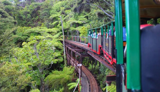 Driving Creek Railway and Potteries