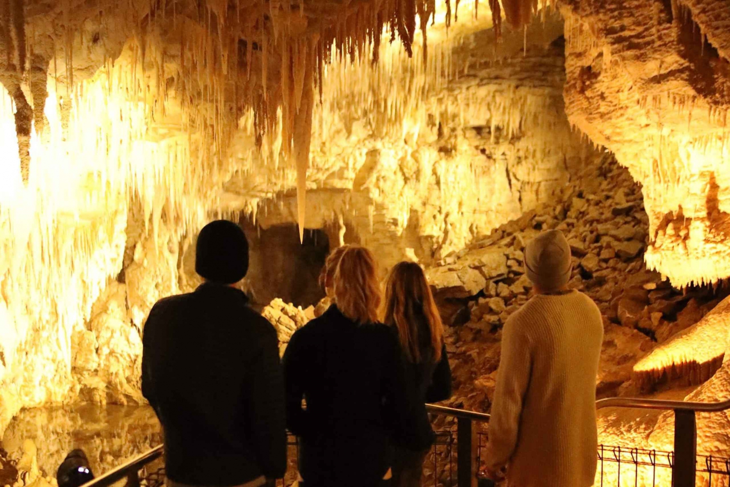 De Auckland: Cavernas do Minhocão Waitomo e excursão a Rotorua