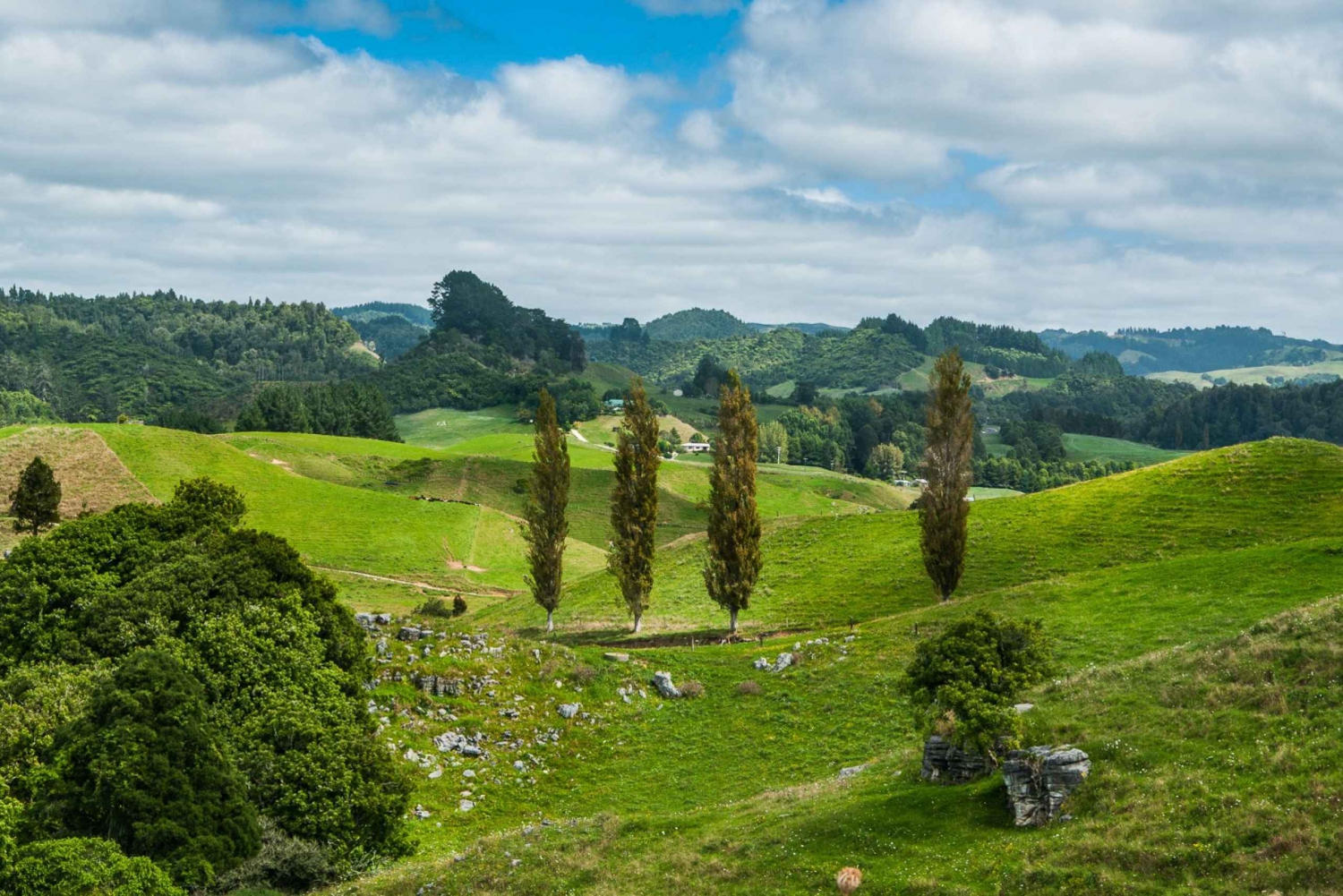 From Auckland or Rotorua: Hobbiton & Waitomo Tour with Lunch