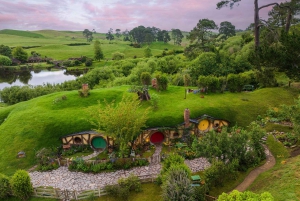Vanuit Auckland: Hobbiton filmset dagtour met picknicklunch