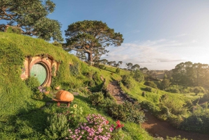 Vanuit Auckland: Hobbiton filmset dagtour met picknicklunch