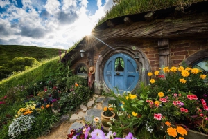 Vanuit Auckland: Hobbiton filmset dagtour met picknicklunch