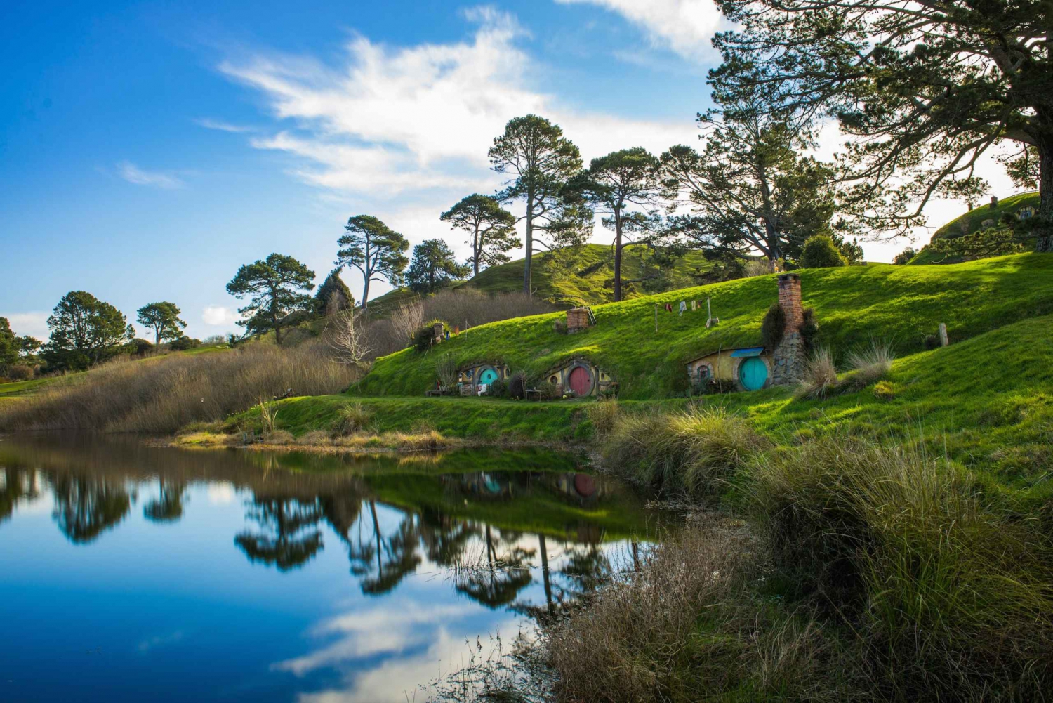 Z Auckland: całodniowa wycieczka w małej grupie z planem filmowym Hobbiton