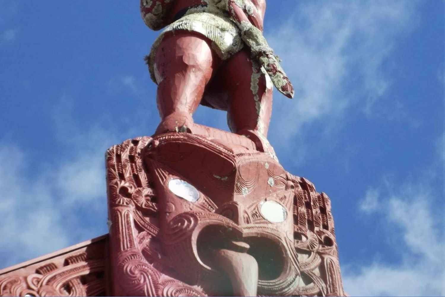 Desde Auckland: tour privado de un día a Rotorua con experiencia de spa