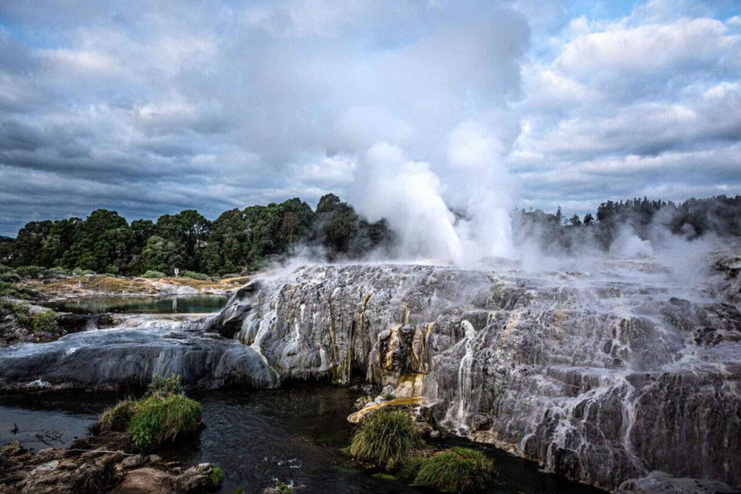 Desde Auckland: Rotorua Te Puia, Haka y Excursión al Balneario Polinesio