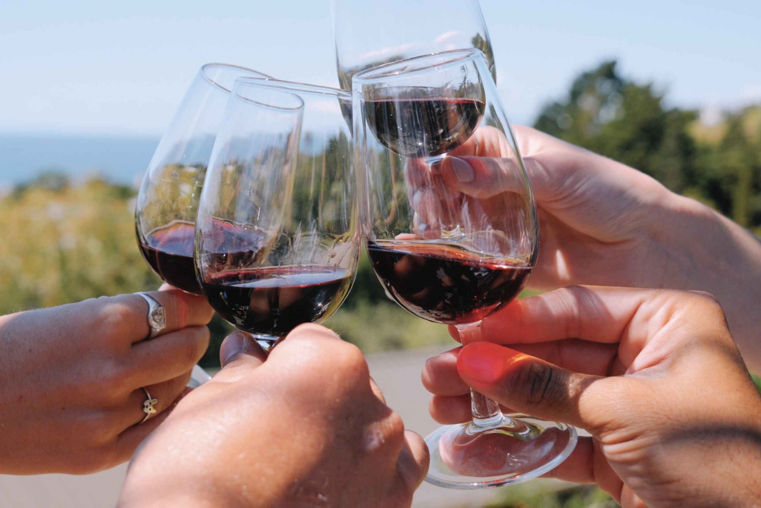 De boetiekervaring: de beste kelderrondleiding op Waiheke Island