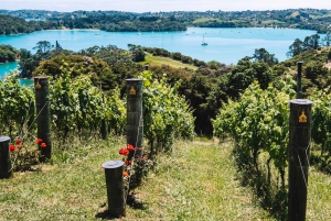 Waiheke Island: nip en proef 3 wijngaardenrondleiding met lunch