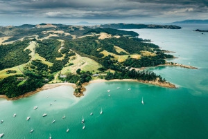 Waiheke Island: nip en proef 3 wijngaardenrondleiding met lunch