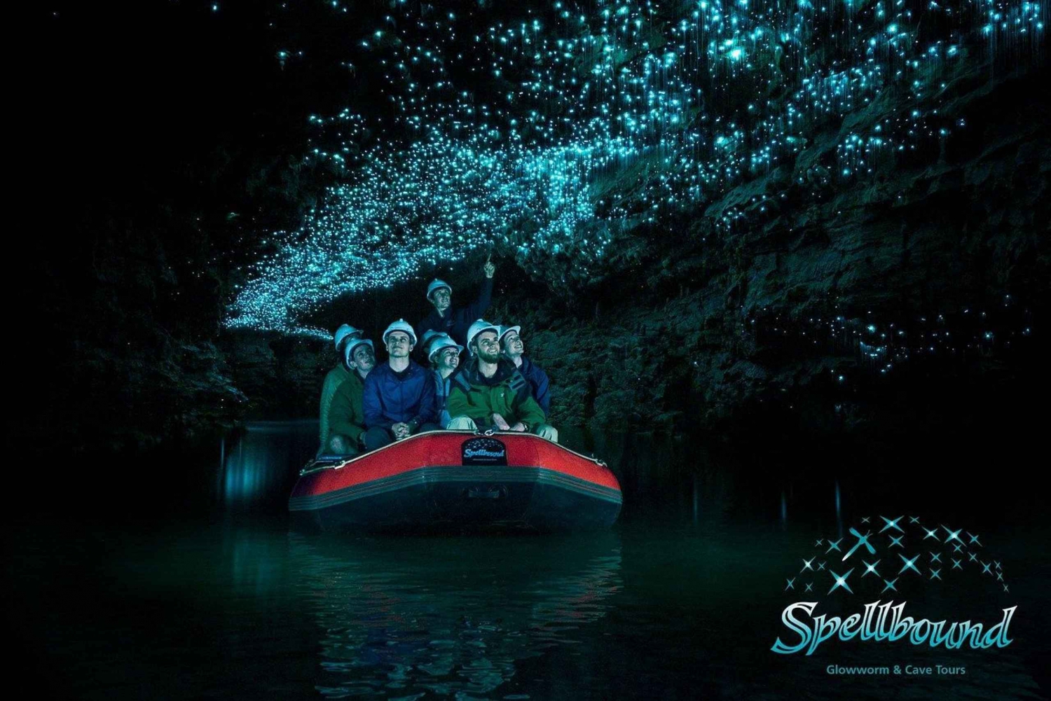 Auckland: Waitomo Glowworm Grotten Ontdekkingsreis Tour in kleine groep