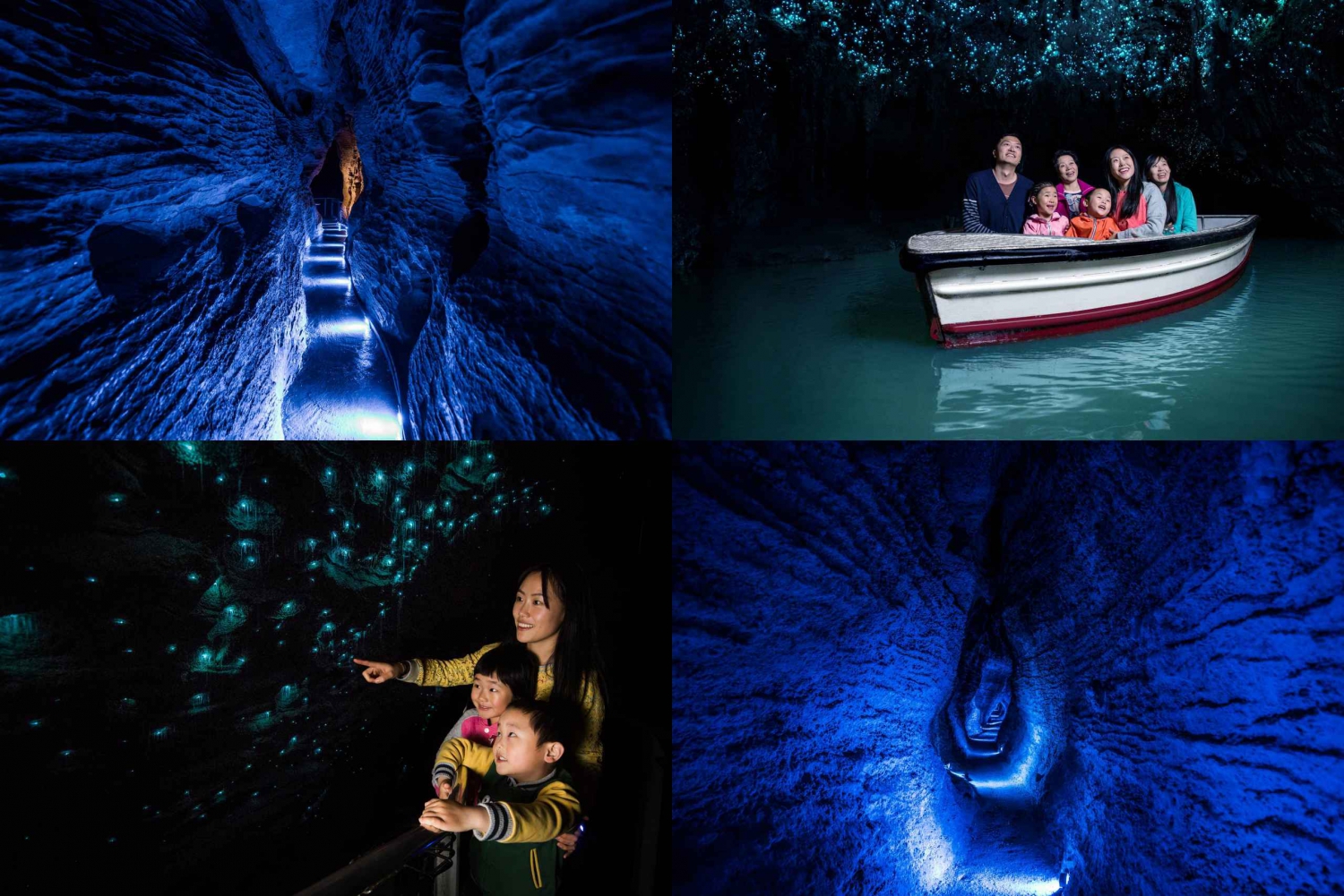 Vanuit Auckland: Waitomo glimworm en Ruakuri grotten dagtour