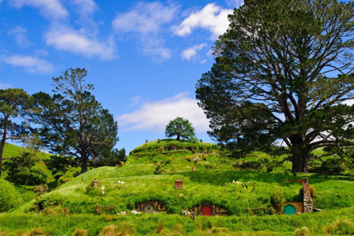 Desde Auckland: Waitomo y Hobbiton tour en autobús con almuerzo