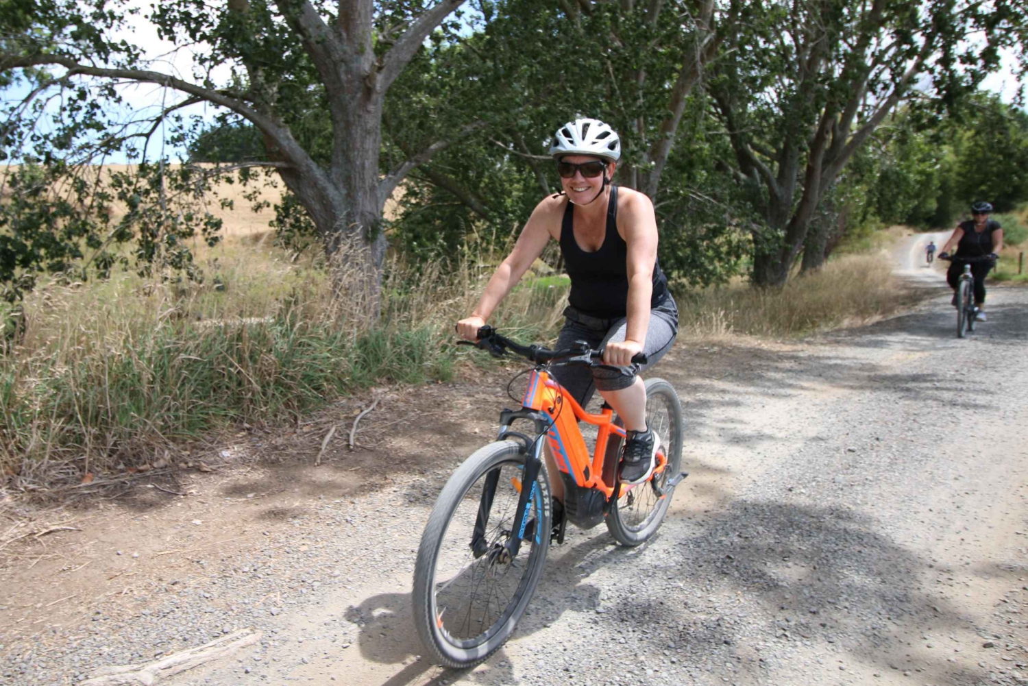 Full Day Ebike Tour - Karangahake Gorge NZ