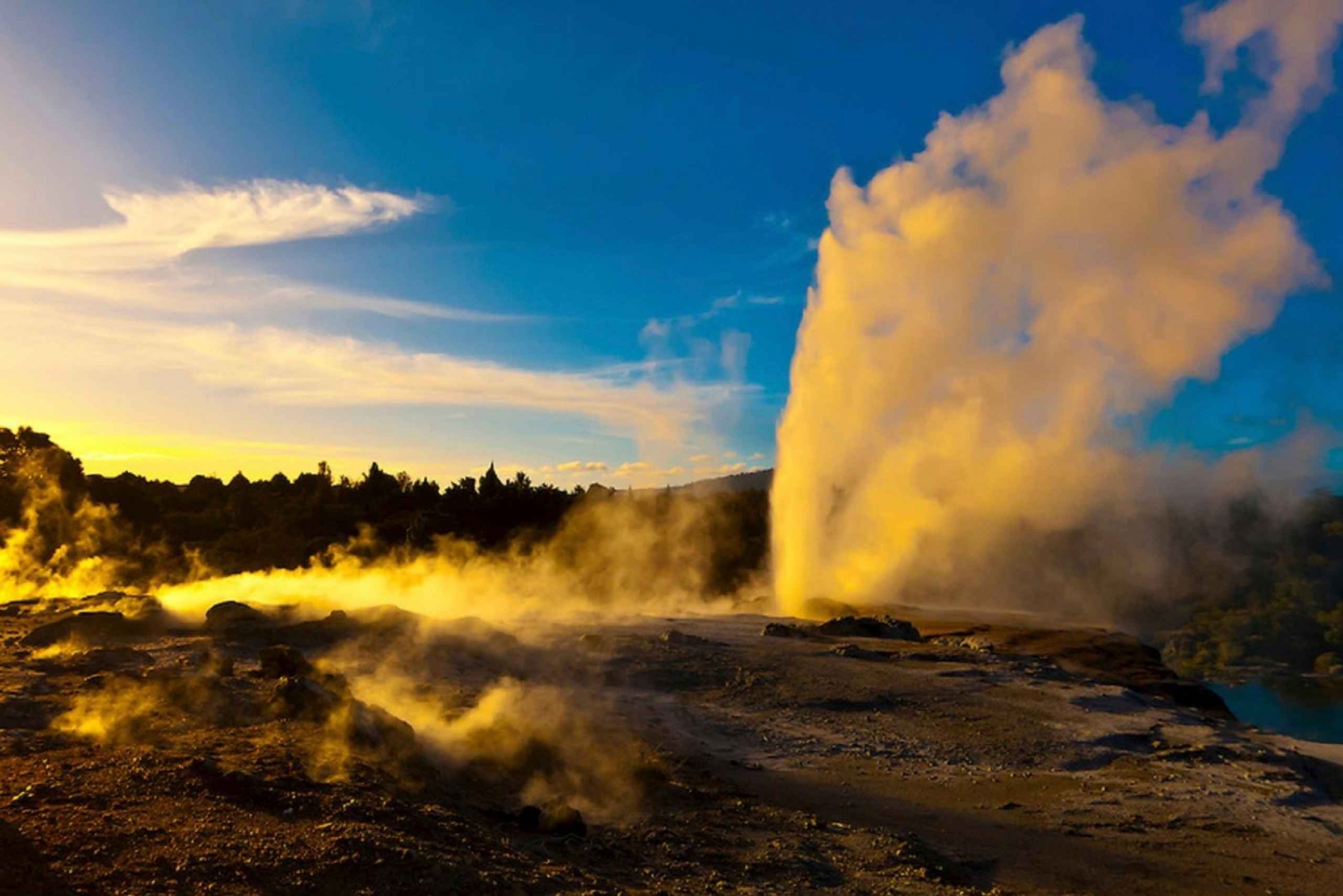 Vanuit Auckland: dagtour filmset Hobbitstee & Rotorua