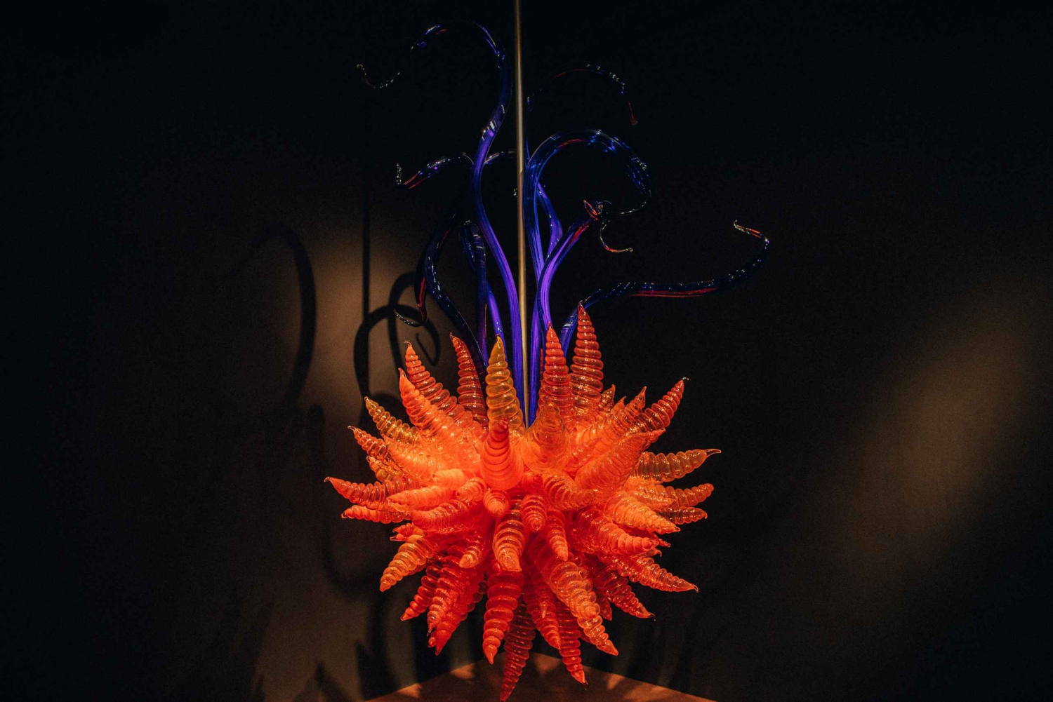 Matakana Kunst & Wijndorp privétour