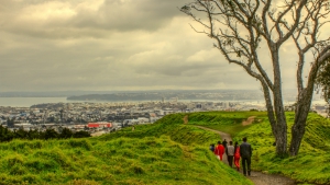 Mt Eden