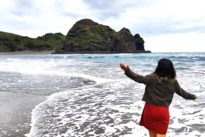 Nieuw-Zeeland: 9-daagse privétour met 14-16 activiteiten