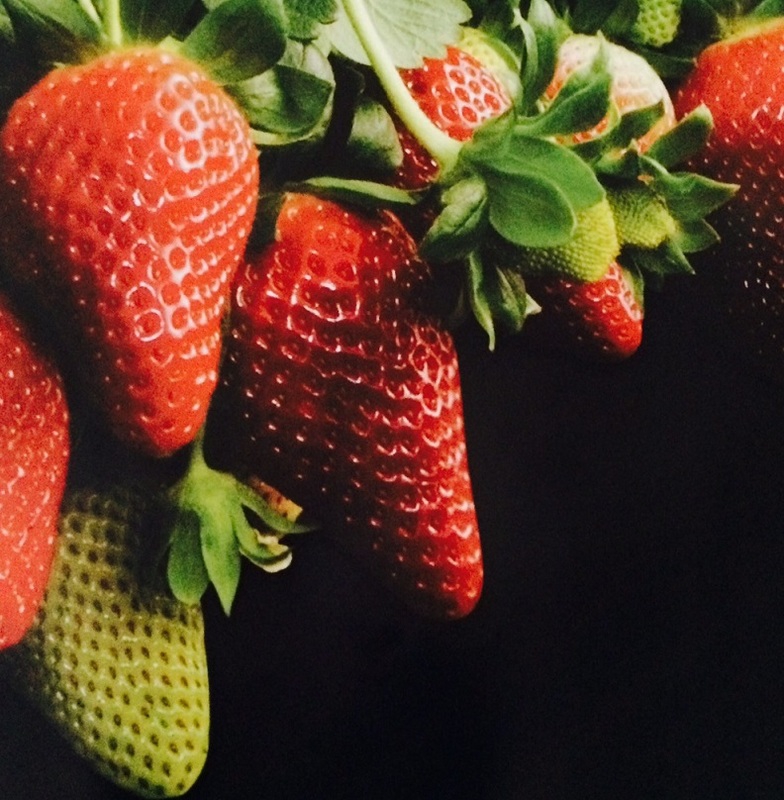 Perrys Berrys Strawberry Farm