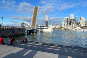 Minibus-transport fra Auckland City til Auckland Lufthavn