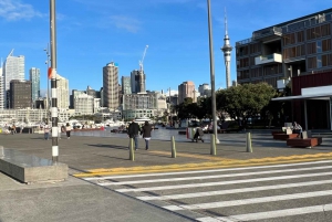 Minibus-transport fra Auckland City til Auckland Lufthavn