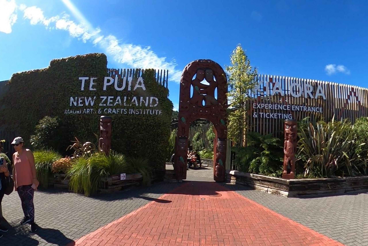 Auckland: wycieczka 1-dniowa – TE PUIA Rotorua, sekwoje i Blue Springs