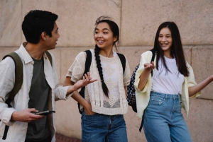 Il meglio di Auckland: tour privato a piedi