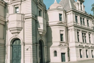 Il meglio di Auckland: tour privato a piedi