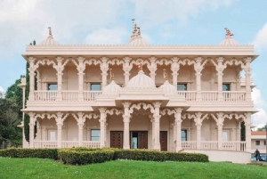 Il meglio di Auckland: tour privato a piedi