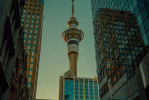 Il meglio di Auckland: tour privato a piedi