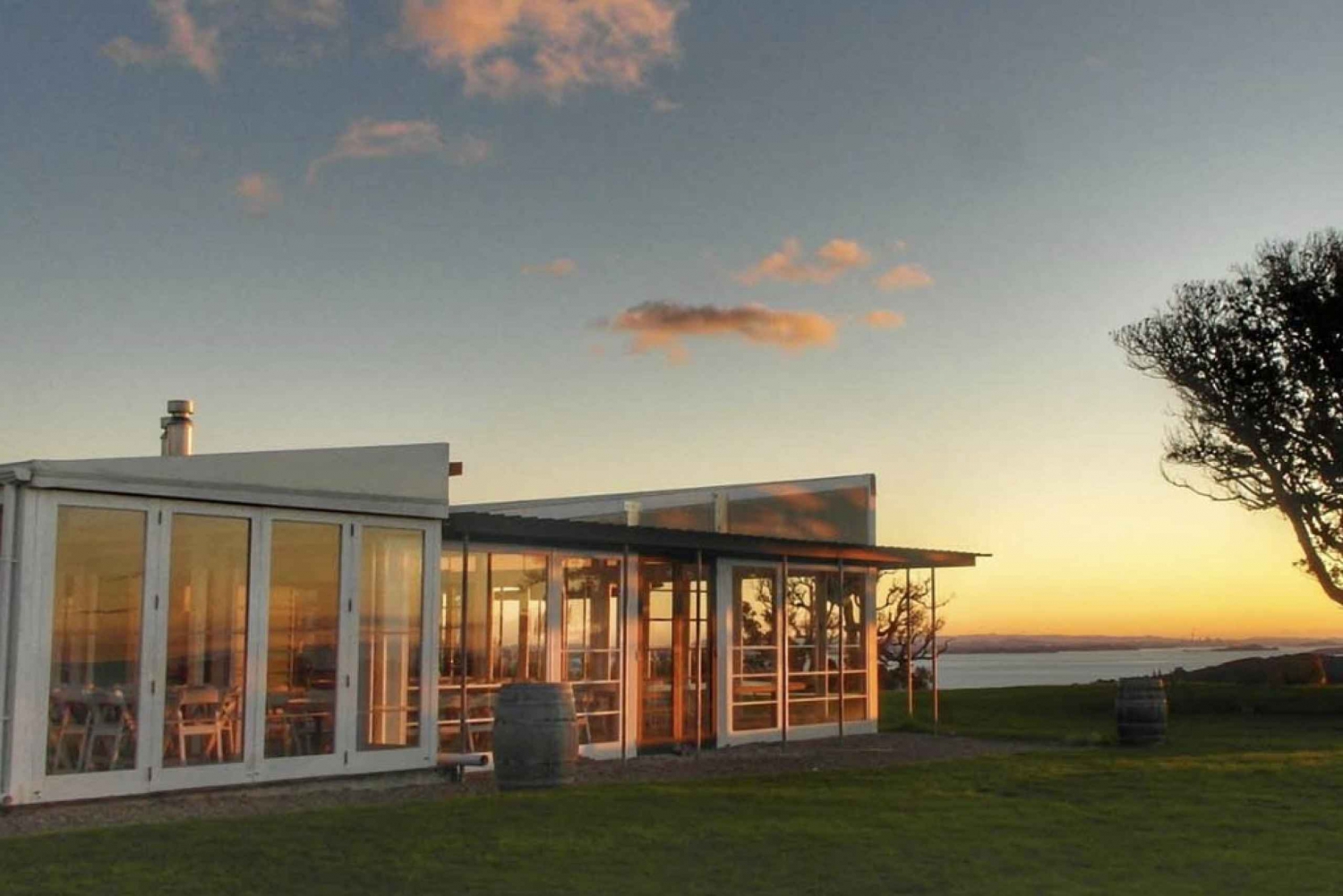 Waiheke Island: Wine Tour & Lunch at Award Winning Venue