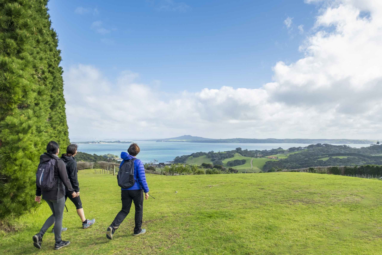 Wyspa Waiheke: Double Headland Premium - spacer z przewodnikiem po wybrzeżu