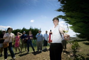 Isla Waiheke: billetes para el ferry y el autobús turístico