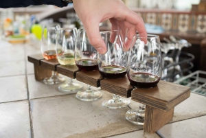 Isla Waiheke: billetes para el ferry y el autobús turístico